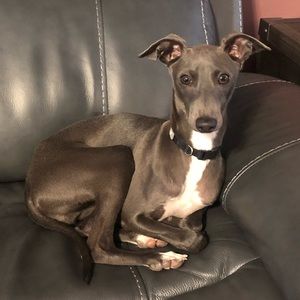 Meet your Posher, Janell